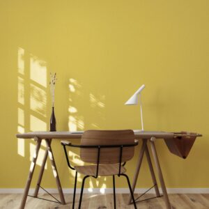 Solid Color Wallpaper