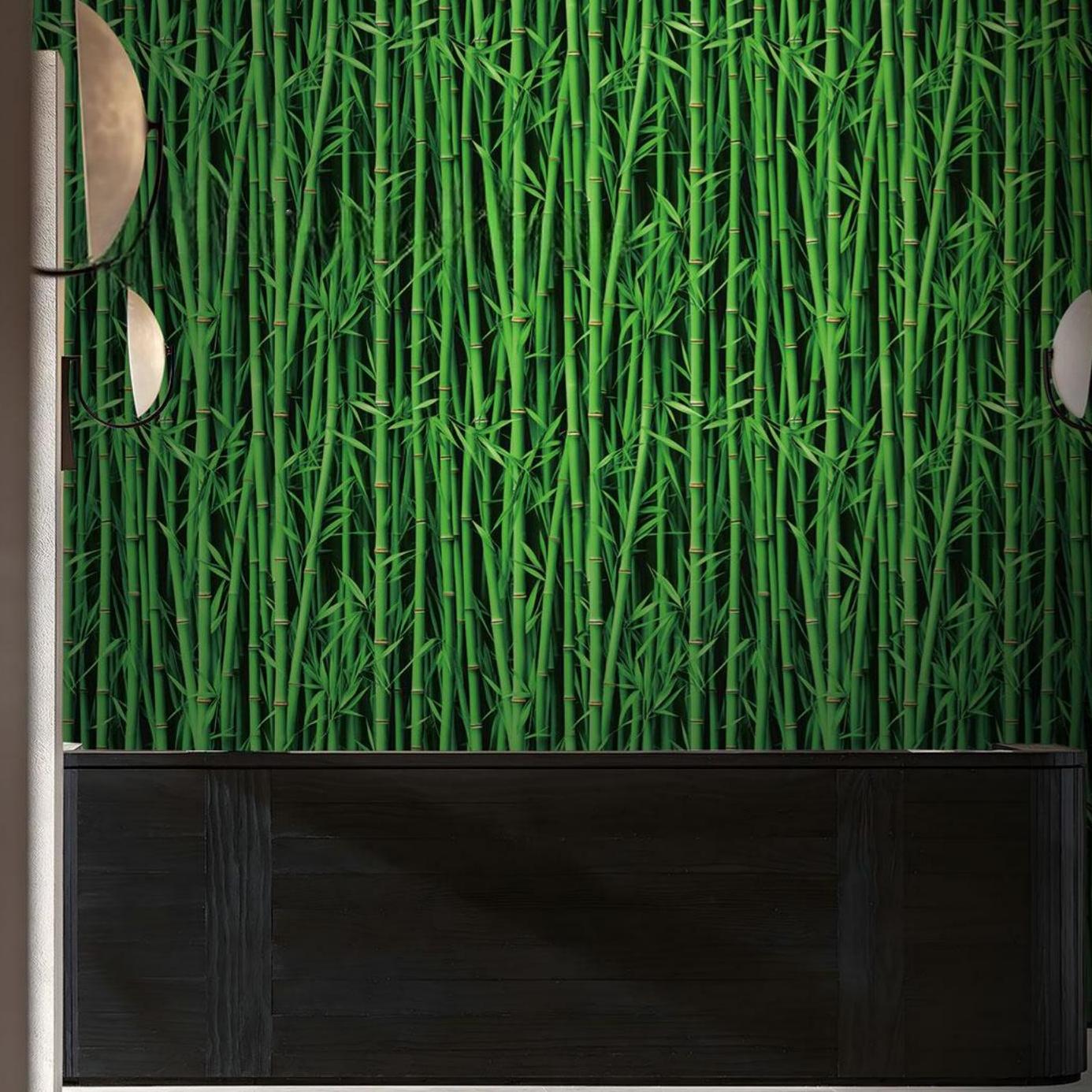 TT1041 Bamboo Wallpaper